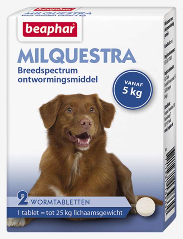 Beaphar Milquestra Hond BEAPHAR DogDepot.nl