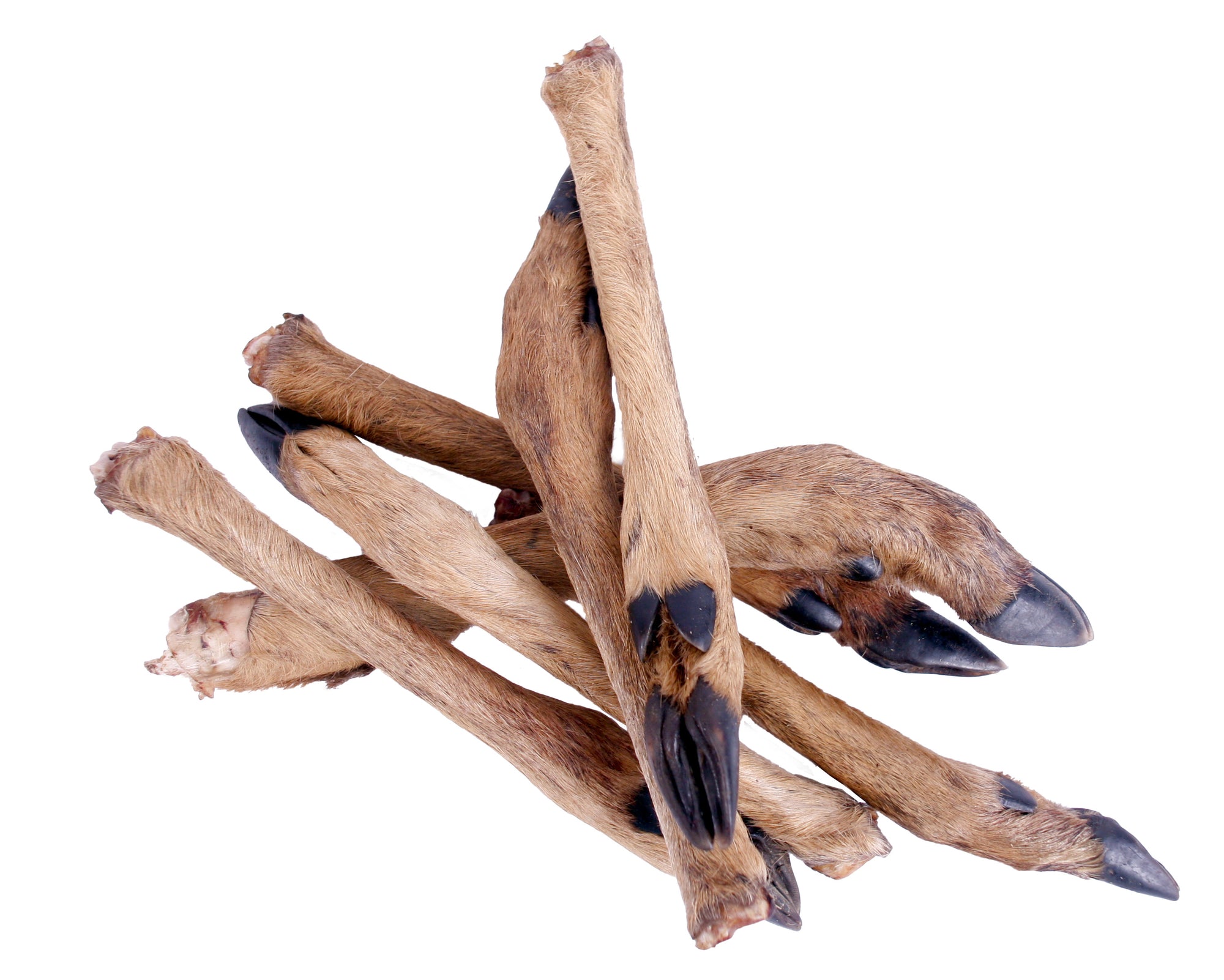 Petsnack Reeenpoot Met Haar PETSNACK DogDepot.nl