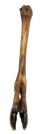 Petsnack Hertenpoot PETSNACK DogDepot.nl