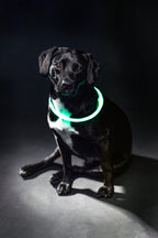 Trixie Lichtgevende Halsband Usb Flash Light Oplaadbaar Tpu Groen