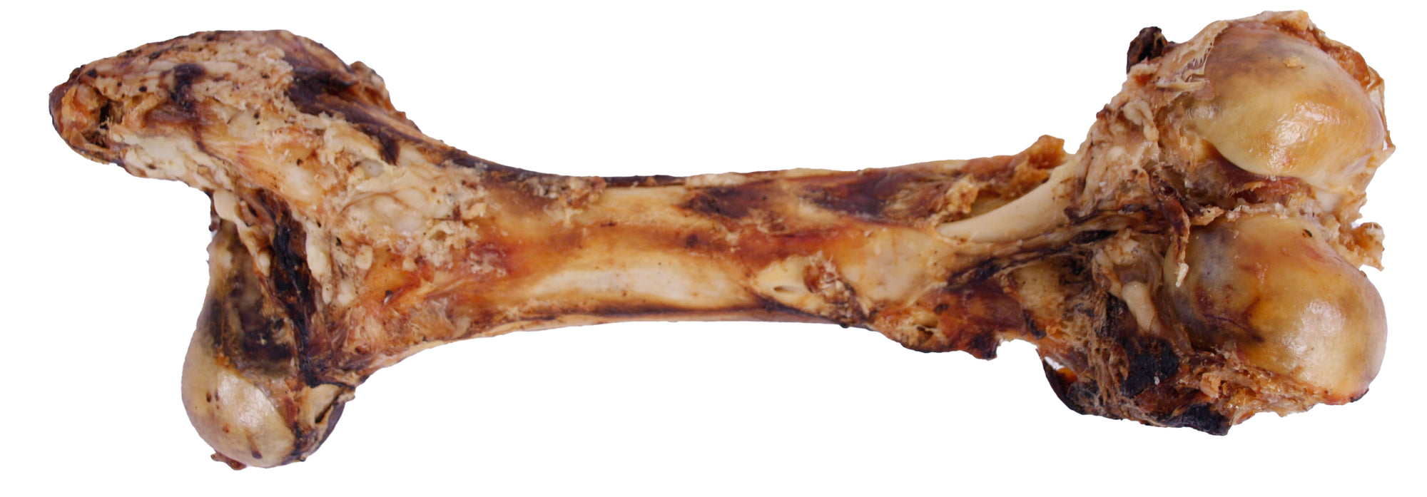 Petsnack Dinobot Xxl PETSNACK DogDepot.nl