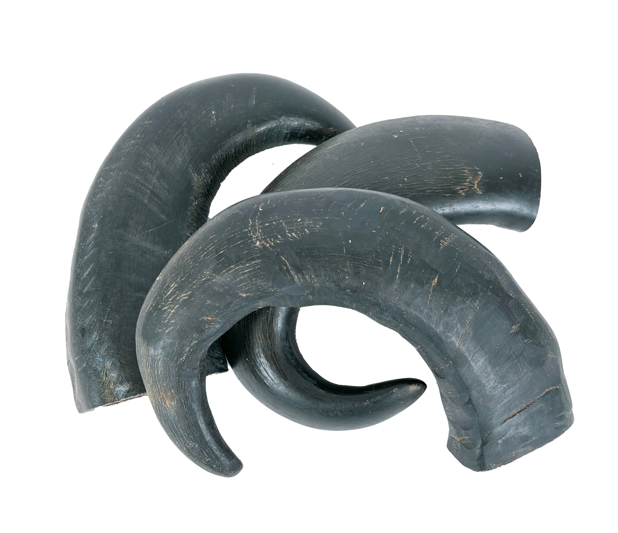 Petsnack Hoorn Tip PETSNACK DogDepot.nl