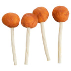 Trixie Premio Lolly Met Kabeljauw TRIXIE DogDepot.nl