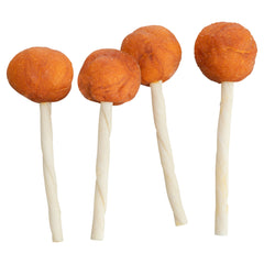 Trixie Premio Lolly Met Kabeljauw TRIXIE DogDepot.nl