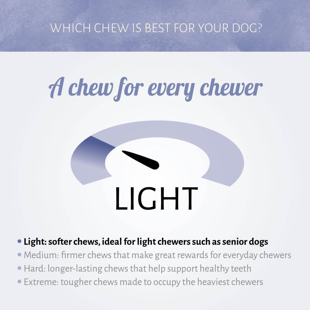 Antos Mini Bones Pens