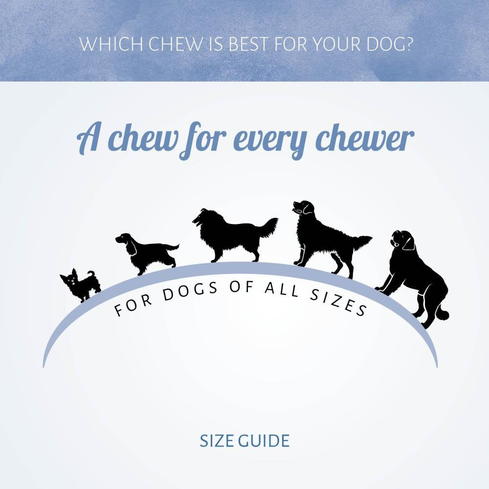 Antos Mini Bones Pens