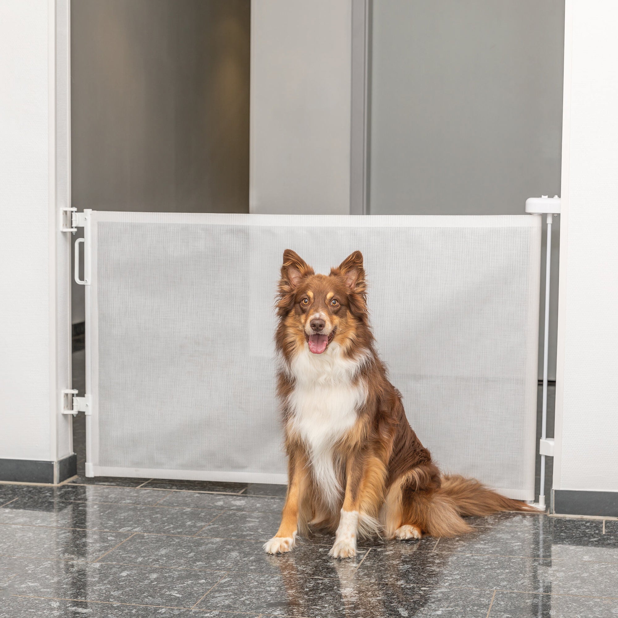 Trixie Afsluithek Uitrolhek Wit TRIXIE DogDepot.nl