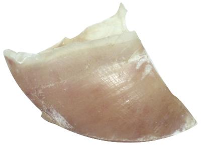 Dogstar Kalfshoeven Groot DOGSTAR DogDepot.nl