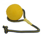 Starmark Swing 'N Fling Durafoam Fetch Bal Aan Koord STARMARK DogDepot.nl