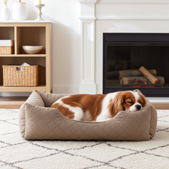 Trixie Hondenmand Caliente Bruin TRIXIE DogDepot.nl